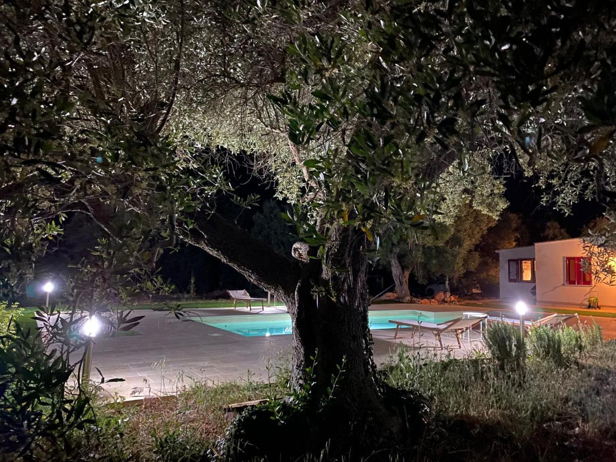 Le Radici Panzió Monopoli Kültér fotó